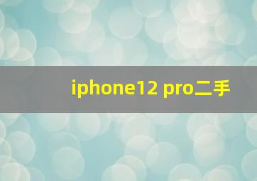 iphone12 pro二手